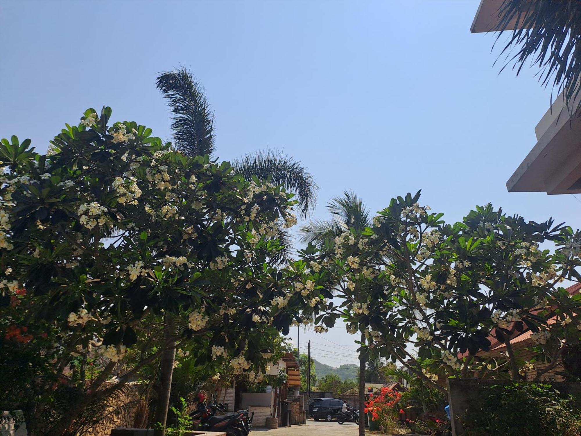 Kutabay Homestay Kuta  Exteriér fotografie